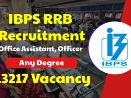 IBPS RRB Recruitment 2025, Easy to Apply Online for 13217 IBPS CRP Office Assistant Jobs