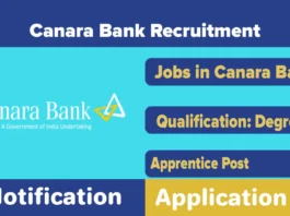 Canara Bank Apprentice Recruitment 2025, Apply Online for Posts