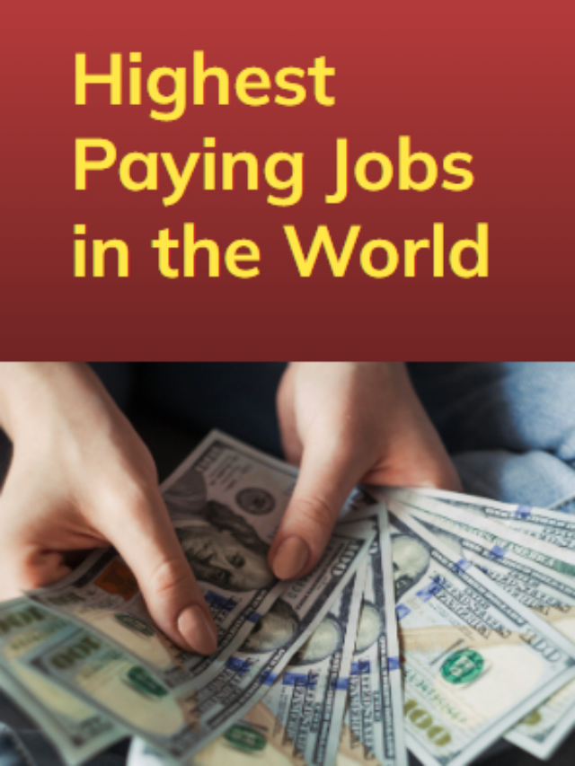 Top Most Highest Paying Work in the world