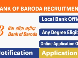 Bank of Baroda Local Bank Officer Recruitment 2025, Apply for 2500 LBO Job